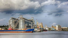 Нидерланды просят у России гарантировать пропуск зерна из Украины